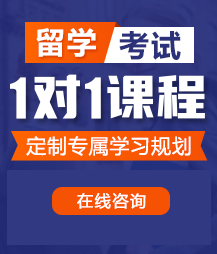 插烂骚逼的小骚逼留学考试一对一精品课